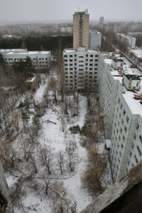 Die Auswirkungen der Katastrophe auf die Tierwelt in und um Tschernobyl