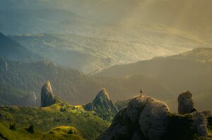 Die Natur kehrt zurück: Die Tier- und Pflanzenwelt