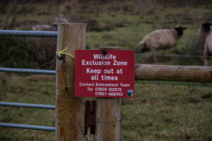 Die Rückkehr der Wildnis: Die Wiederbesiedlung der Sperrzone durch Wildtiere