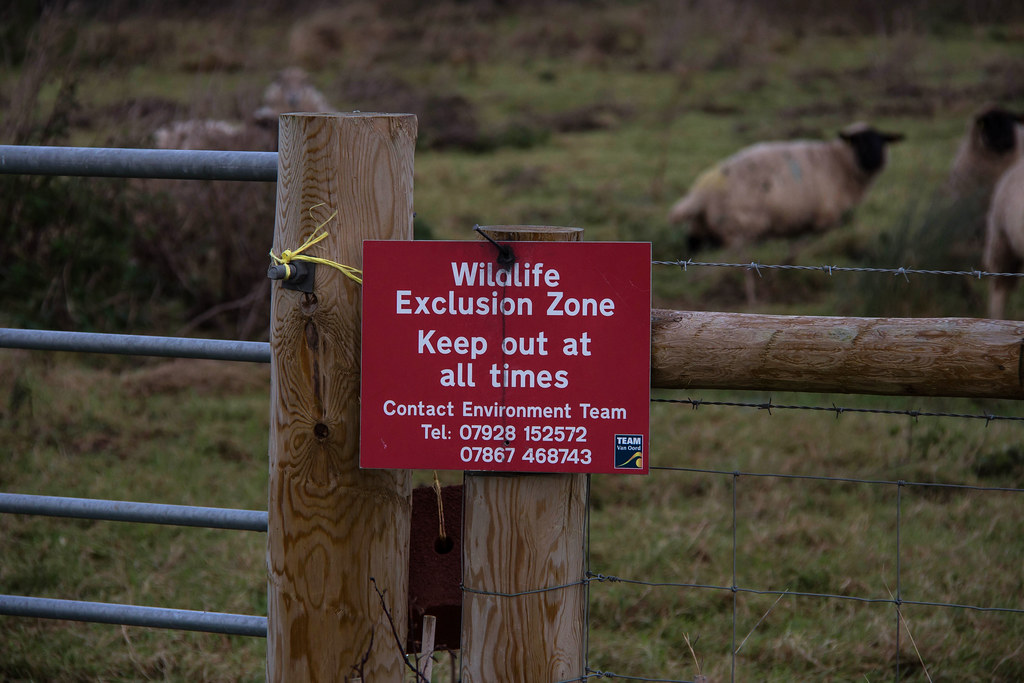 Die Rückkehr der Wildnis: Die Wiederbesiedlung der Sperrzone durch Wildtiere