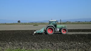 Die Auswirkungen des Unfalls auf die landwirtschaftliche Produktion in der Region